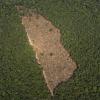 Blick auf ein abgeholztes Waldstück in der Mitte eines Waldgebietes im Amazonasgebiet.