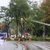 Nach dem Unwetter wird der entwurzelte Baum am Curt-Frenzel-Stadion entfernt. 