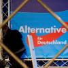Die Alternative für Deutschland (AfD) ist der große Gewinner der Landtagswahlen in Baden-Württemberg, Rheinland-Pfalz und Sachsen-Anhalt. (Symbolfoto)