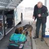 Spürhund Vicky fand in einer Reisetasche und einem Koffer zwölf Kilo Drogen. 	