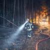 Ein Feuerwehrmann geht durch einen verbrannten Wald. 