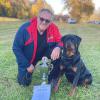 Der erste Vorsitzende des Hundesportvereins Meitingen und Rottweiler Züchter Gerhard Klügl wurde mit seiner Hündin Holly für die Weltmeisterschaft der Fährtenhunde in Aniche (Frankreich) nominiert.