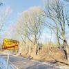 Am Ortsausgang von Aystetten sollen demnächst 20 Bäume gefällt werden. Das Staatliche Bauamt befürchtet sonst Gefahren für den Verkehr. 