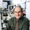Ralph M. Steinman wird posthum mit dem Nobelpreis ausgezeichnet.