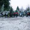 Man kann den Christbaum auch mit dem Fahrrad abholen.