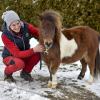 Ina heißt das Mini-Pony von Melanie Fleschhut. Vor gut einem Jahr hat sie es zu ihrem 30. Geburtstag von ihren Eltern geschenkt bekommen.