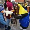 Beim großen Faschingsumzug in Kammlach war auch heuer wieder viel geboten.