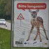 Gleich mit zwei schlimmen Wildunfällen hatte es die Polizei in Beilngries zu tun. In einem Fall fuhr ein Autofahrer eine tragende Rehgeiß an, die beiden Kitze wurden aus ihrem Bauch auf de Straße geschleudert.