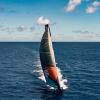 Die "Malizia Seaexplorer" von Skipper Boris Herrmann unter vollen Segeln beim Ocean Race, bei dem fünf Hochseeyachten um den Sieg konkurrieren. 