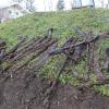 Unter einem Spielplatz in Riederau sind Waffen aus dem Zweiten Weltkrieg entdeckt worden.