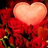 Viele freuen sich am Valentinstag über einen herrlichen Rosenstrauß. Zu einer guten Beziehungspflege gehört aber mehr dazu, als nur einmal im Jahr rote Rosen vorbei zu bringen.