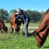 Landwirtin Theresa Höfle will, dass es ihren „Pinzgauern“ richtig gut geht. Die Mutterkuh-Herde sorgt aber auch für mehr Artenvielfalt im Stadtgebiet Augsburg.