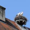 2012 hat es sich ein Storchenpaar hat sich auf dem Dach des Unteren Schlosses in Ichenhausen niedergelassen. 