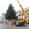 Seit Montag steht der Christbaum auf dem Aichacher Stadtplatz. Auch das bringt Adventsstimmung in die Stadt.