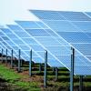 In Ziertheim könnten bald zwei neue Solarparks entstehen. Die Rede ist sogar von „Agri-Fotovoltaikanlagen“.  