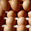 Unbekannte haben in Harburg ein Haus mit rohen Eiern beworfen. 