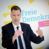 FDP-Fraktionschef Dürr sagt, Deutschland brauche viel mehr Einwanderer. Bisher kämen aber zu wenige Arbeitskräfte. 