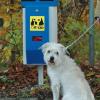 Im benachbarten Obergriesbach werden Hundetoiletten aufgestellt, in Dasing ist Bürgermeister Andreas Wiesner dagegen. 