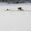 Die Feuerwehr Augsburg übte den Ernstfall auf dem Eis am Kuhsee. 