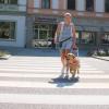 Verena Weig leitet die Hundeschule mit Herz aus Neuburg. Darin bildet sie Vierbeiner zu Blindenhunden aus.