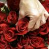 "Der Bachelor": Die Rosen sind verteilt.