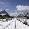 Kurz vor Frühlingsanfang hat es auf Mallorca geschneit.