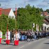 35 Traditionsvereine nahmen 2013 an der traditionellen Friedenswallfahrt zum "Herrgöttle von Biberbach" teil.