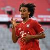 Joshua Zirkzee, Spieler bei FC Bayern München.