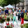 Der Tag der Rose in Ulm ist seit Jahren bei vielen Menschen beliebt.