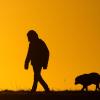 Ein junger Mann spaziert mit einem Hund bei Sonnenaufgang über einen Feldweg.