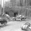 Waldwerk Kuno: Wo Hitlers "Wunderwaffe" montiert wurde