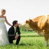 Barbara und Lukas Deil hatten eine wunderschöne Hochzeit, wie sie schreiben. Familie und Freunde hätten den Tag unvergesslich gemacht.