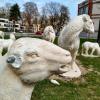 Unbekannte haben die Schaf-Figuren im Textilviertel in Augsburg beschädigt.