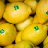 Im Februar ist Haupterntezeit für Zitronen - das senkt die Preise.
