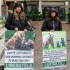 Vor dem Gerichtsgebäude in Trient protestierten Tierschutzverbände gegen einen Abschuss der Bärin Gaia.