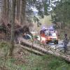 Sturm Niklas wütete vor allem im Süden des Landkreises Günzburg. Hier fiel auch häufiger der Strom aus.