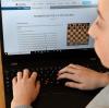 In der Pandemie haben viele Neulinge das Schachspiel entdeckt. Einige Vereine und Gruppen in Nordschwaben bieten nun kostenfreie Online-Kurse mit Trainerbegleitung an. 	