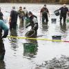 Kescher-Kette im Schlamm: Die Bergung der verbliebenen Fische aus dem Bachweiher ist eine mühsame Arbeit.  	 	