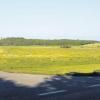 Das geplante Baugebiet „Weinrieder Feld“ schließt im Westen an die Weinrieder Straße und im Norden an den Greimeltshofer Weg an. 