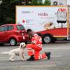 Die Rettungshundestaffel des BRK Kreisverbands Günzburg darf endlich wieder in Kötz trainieren. Hier wird mit Pudel Candy geübt. 