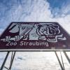 "Zoo Straubing" steht auf einem Hinweisschild an der Autobahn A3. Der Straubinger Stadtrat lehnte am 19. Februar die Erneuerung der Tiergarten-Werbeschilder entlang der A3 ab.