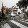 Italien: Ein Baum liegt auf einer Straße nachdem er von starken Winden niedergerissen wurde. 