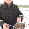 Gunter Weinrich zeigt Hähnchenherzen, eine Delikatesse für Störche.