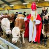 Wenn der Nikolaus und sein Knecht Rupprecht die Schwabenhalle besuchen, ist der "kuhle" Weihnachtsmarkt angesagt.