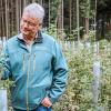 Robert Bocksberger begutachtet die kleinen Eichen, die in einer Lichtung im Wald bei Hübschenried gepflanzt wurden. Der Leiter des Forstbetriebs Landsberg der Bayerischen Staatsforsten hat mit unserer Zeitung über die Zukunft der Waldbewirtschaftung gesprochen.