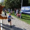 Bei bestem Wetter starteten am Sonntag viele kleine und große Läufer beim Meringer Marktlauf des TVM.