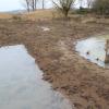 Der renaturierte Augraben am Westrand Oettingens hält einen Teil des Wassers zurück.  	