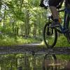 Wie soll man mit Mountainbikern umgehen, die im Wald auf Trails fahren? Auch bei den Grünen gehen die Meinungen auseinander.