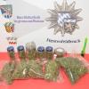 Ein Pfund Marihuana hat die Polizei in einem Keller in Germeringen entdeckt.