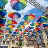 Für drei Monate wird das Ried in Donauwörth einen regenbogenbunten Himmel aus Schirmen erhalten.  	